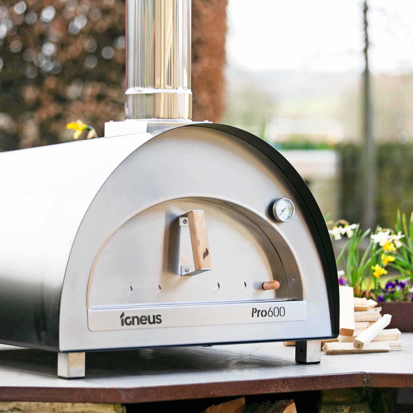 Igneus Pro 600 Wood Fired Pizza Oven