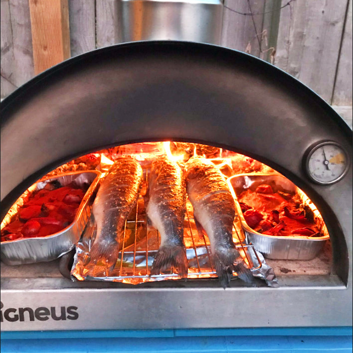 Igneus Classico Wood Fired Pizza Oven